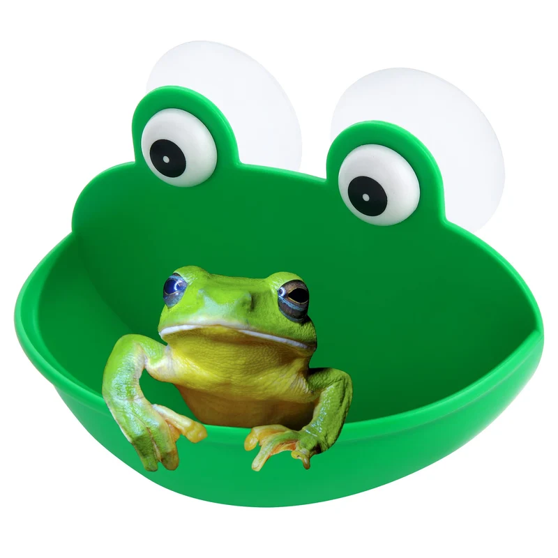 Pensino Habitat Grenouille – Plateau à ventouses pour terrarium et petits amphibiens (1 pack)