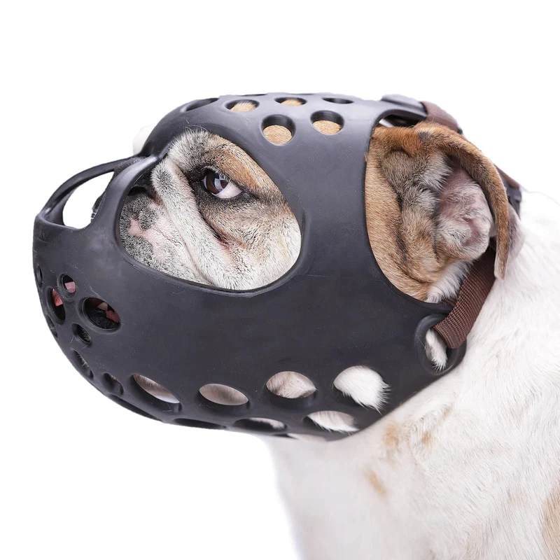 Muselière Barkless pour Bouledogue Anglais – Museau Court, Confort et Contrôle