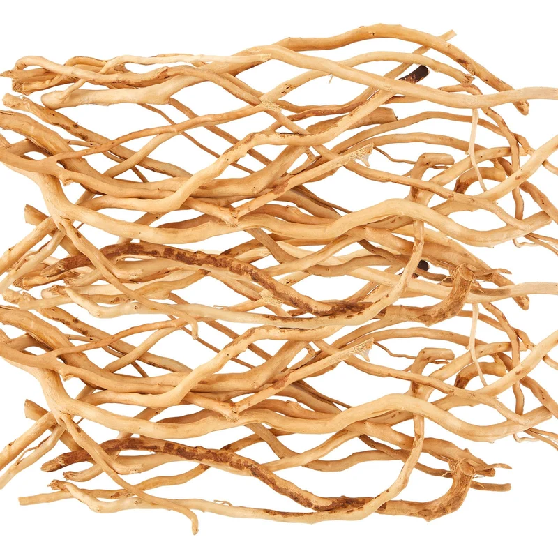 Solsew 250 g Bois Flotté Naturel pour Aquarium 12-16 Pouces – Branches Longues, Déco Terrarium