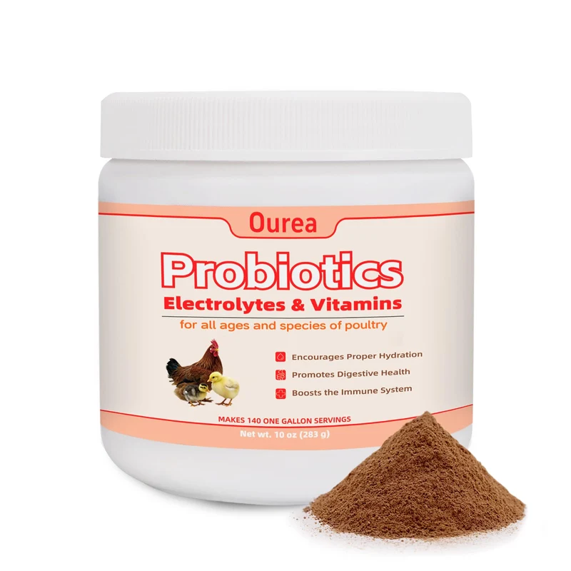 Ourea – Poudre Électrolyte, Vitamines & Probiotiques pour Poulets et Volaille | Hydratation, Digestion et Production d'œufs