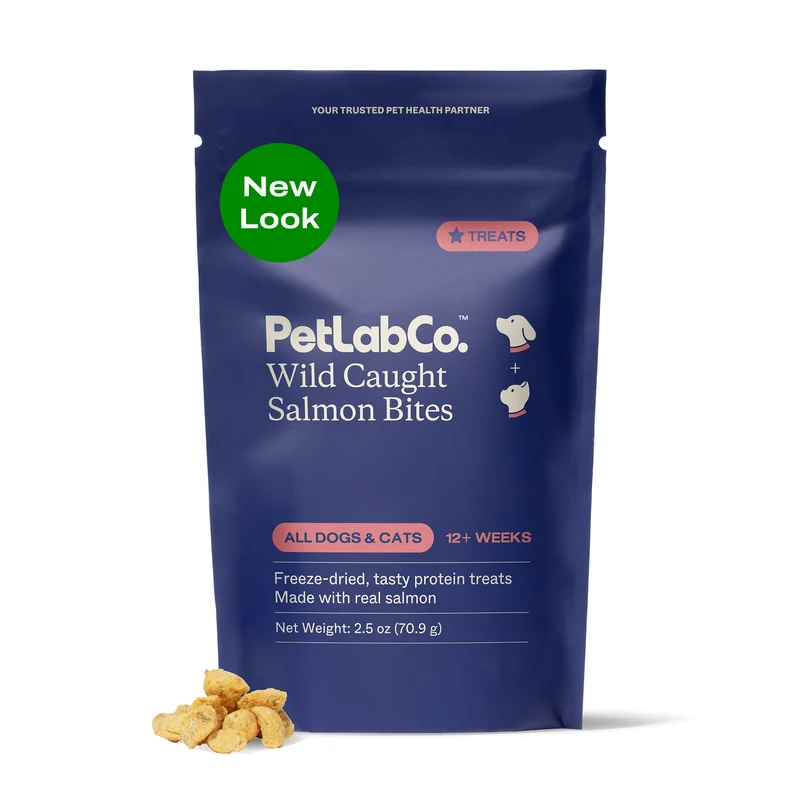 PetLab Co. Bouchées de saumon sauvage séché pour chiens — peau et pelage sains