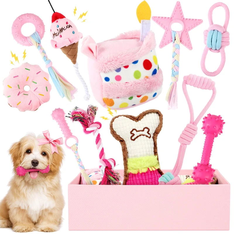 RoundFunny 11 pièces – Coffret jouets anniversaire chien Rose Classique pour petit et moyen chien