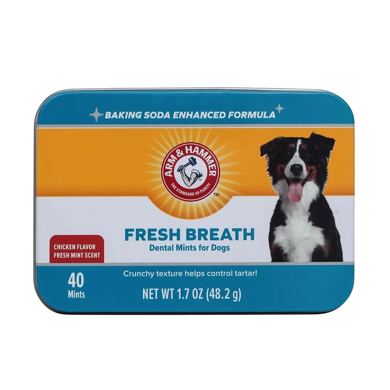 Arm & Hammer pour Animaux – Mints Dentaires pour Chiens au Bicarbonate de Sodium, Saveur Poulet, Haleine Fraîche, 1,7 oz