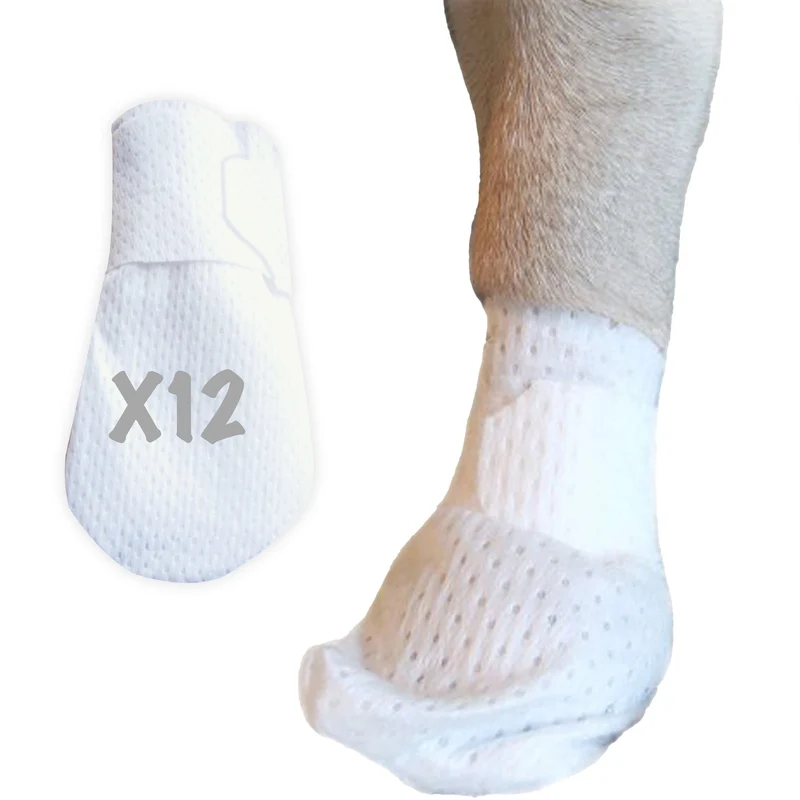 PawFlex Medimitt Bandages pour Pattes – Bottines Médicales Étendables Sans Adhésif, Respirantes – Pack XS (12 pièces)
