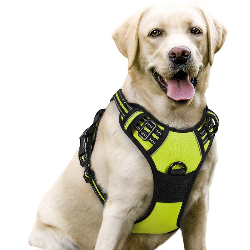 rabbitgoo Harnais pour chien sans tirage – 2 attaches, rembourré et réfléchissant – Taille L, vert