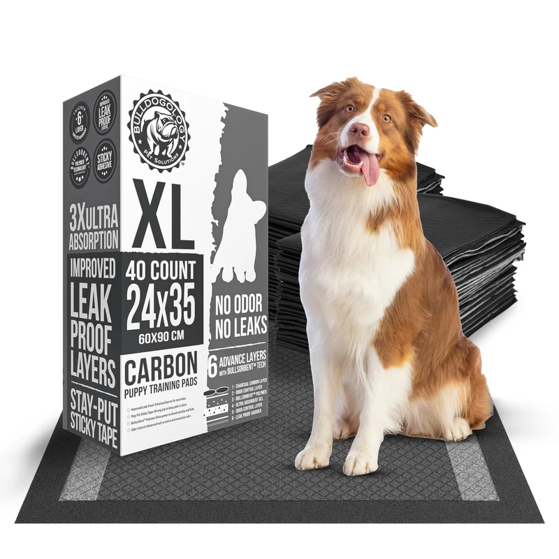 Bulldogology Tapis Pipi XL 24x35 Carbone Noire – 40 Pièces, Adhésif