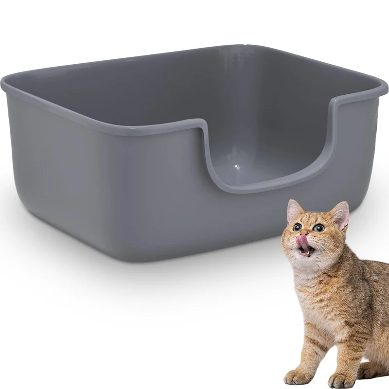 AVIUIA Grande Litière pour Chat — Bords Haussés, Ouverte, Entrée Basse, Assemblage Sans Outils
