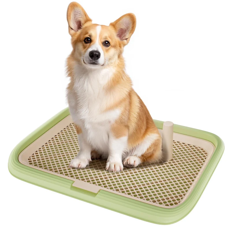 KOLA PANDA Bac de propreté pour chien — Plateau d'entraînement intérieur 23,6 x 17,68 po Vert