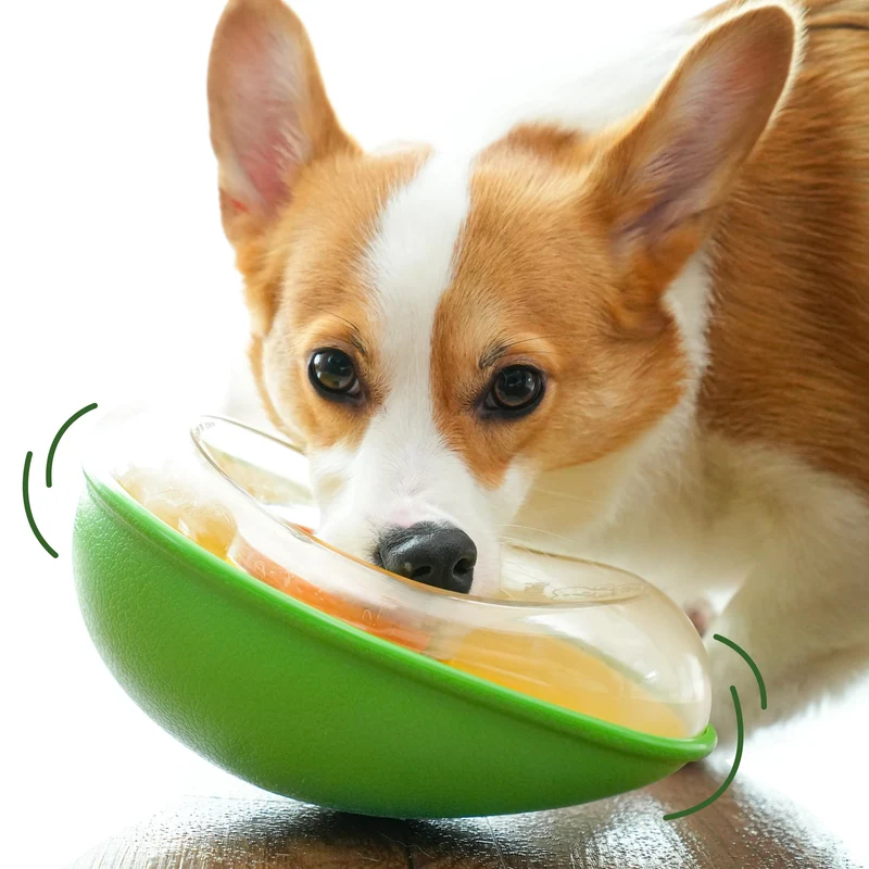 PAW QUEST Avocat: Jouet distributeur de friandises sans déversement pour chiens