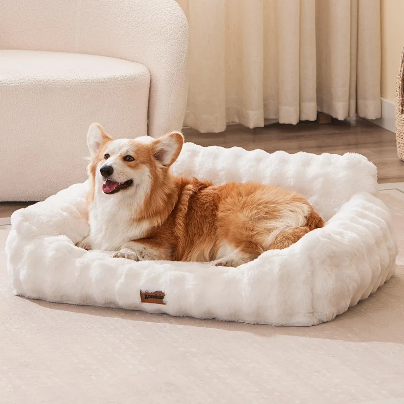 ZOMISIA Canapé Chien Orthopédique – Confort Doux, Housse Lavable, Base Antiderapante, Ivoire