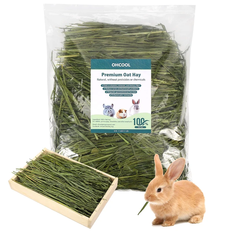 Ohcool Foin d'Avoine Premium pour Animaux - Pur et Naturel, Sans Produits Chimiques, 2x1,1 lb