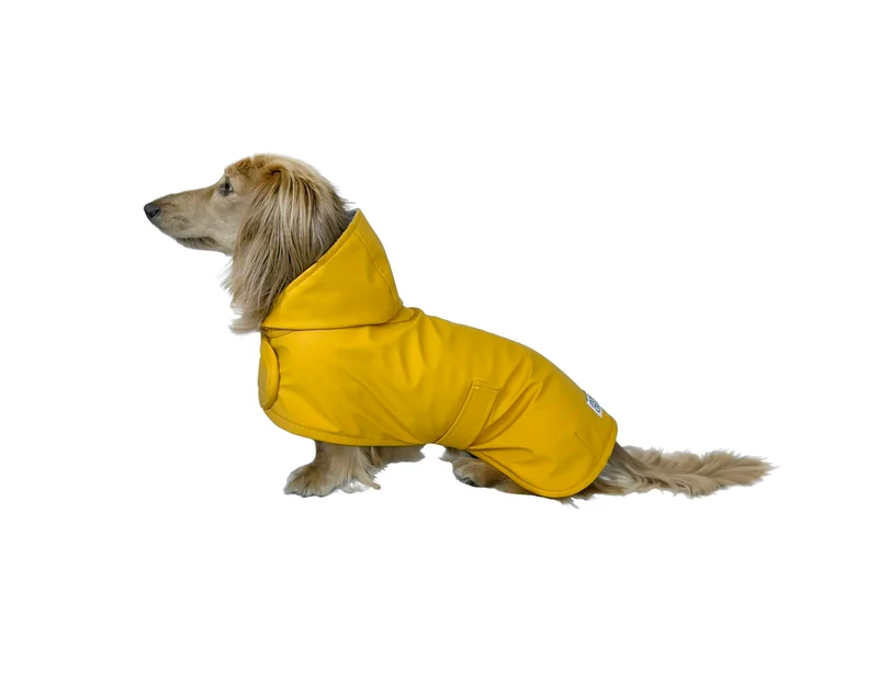 Imperméable Hudson Hound pour Teckel – Jaune Classique, XS