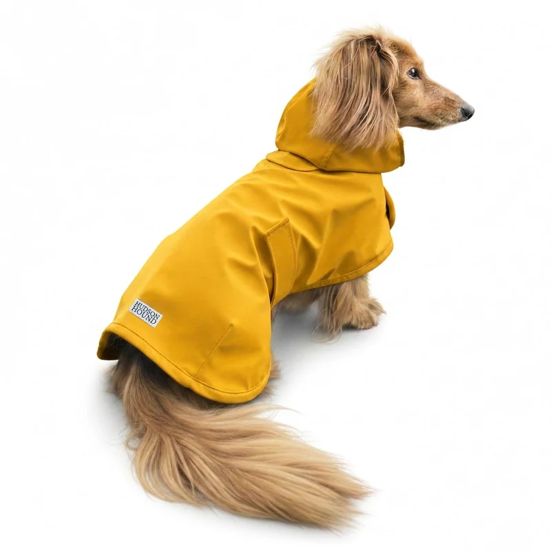 Hudson Hound Imperméable Teckel – Manteau Pluie Long pour Doxie, Jaune Classique (Petit)