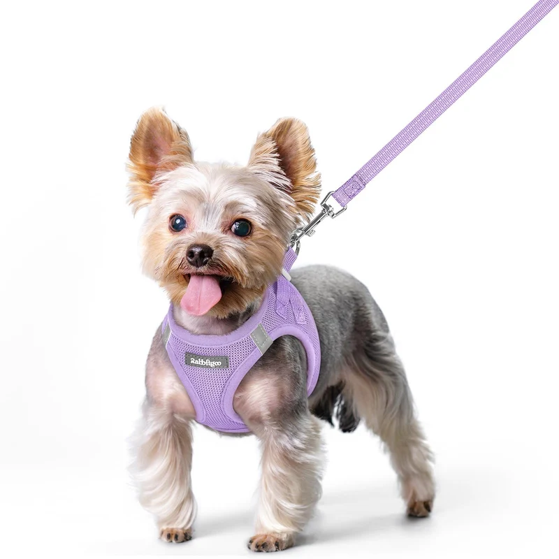 rabbitgoo Harnais pour chien XS à enfiler et Laisse – maille respirante, bandes réfléchissantes, lilas