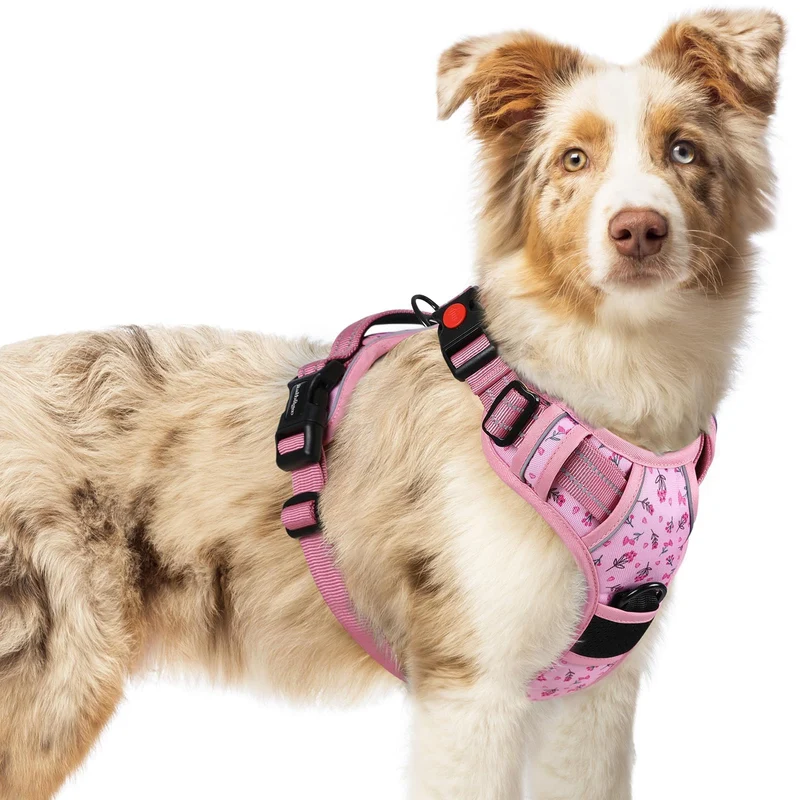 Rabbitgoo Harnais Chien Moyen – Sans Tirage, 3 Boucles, Floral Rose