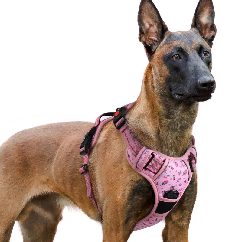 rabbitgoo Harnais chien anti-tirage Floral rose XL – 3 boucles, poignée et sangles ajustables, réfléchissant