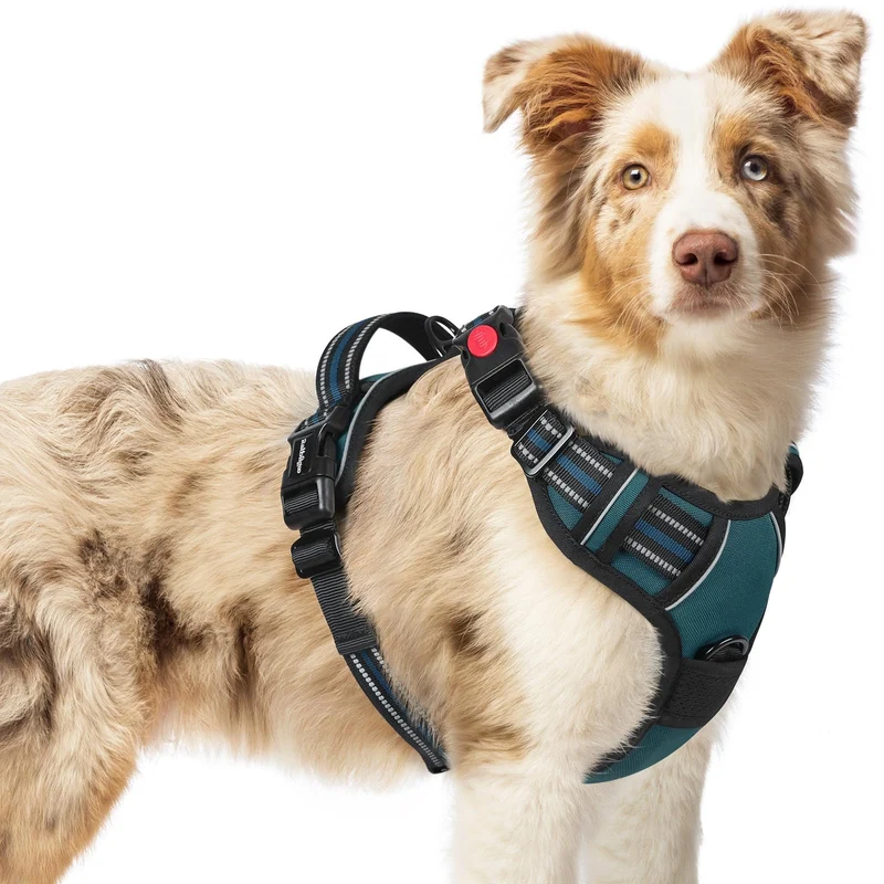 Rabbitgoo Harnais Chien Moyen Anti-Traction – 3 Boucles, Doux Rembourrage, Poignée, Réfléchissant Bleu Corail | Taille M