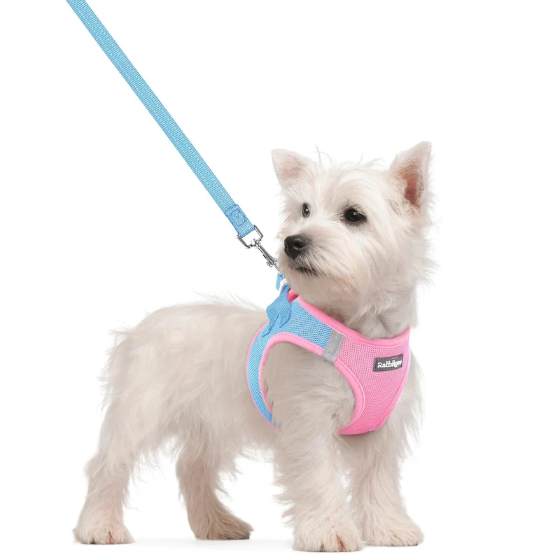rabbitgoo Harnais et Laisse pour Petit Chien – Enfilage Simple, Mesh Respirant et Réfléchissant – Bleu & Rose – Taille S