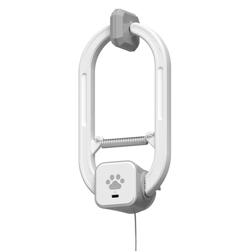 HAPPYCODE Teaser Électrique Rechargeable pour Chats – 2 Modes et Télécommande (Gris)