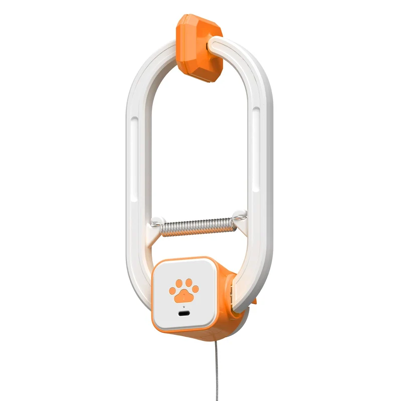 HAPPYCODE Teaser chat électrique rechargeable avec télécommande – Clip de porte interactif, 2 modes (360° et saut irrégulier) pour exercice et amusement (orange)