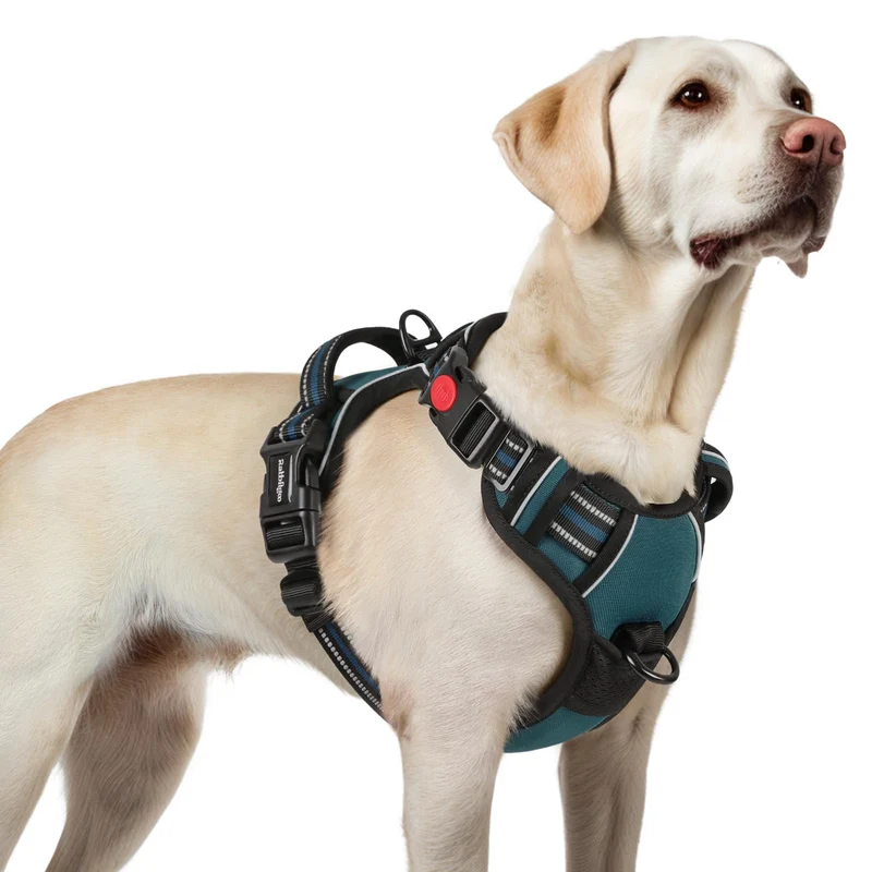 rabbitgoo Harnais pour Chien Grand – Anti-Tirage, 3 Boucles, Poignée de Contrôle, Réfléchissant Bleu Corail, Taille L