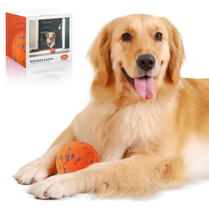 Zizimoko Balle Interactive pour Chiens — Jouet Vibrant, Étanche IP68, 3 Modes
