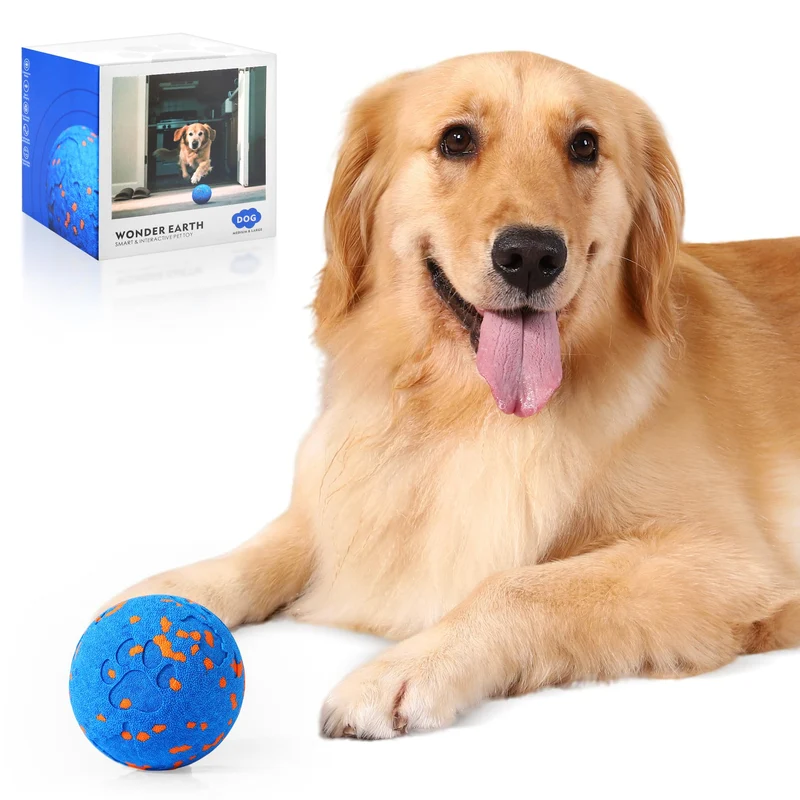 Zizimoko Balle Interactive pour Chien — 3 Modes Doux Normal Fou, Coque E-TPU Renforcée, Étanche IP68 et Charge USB-C