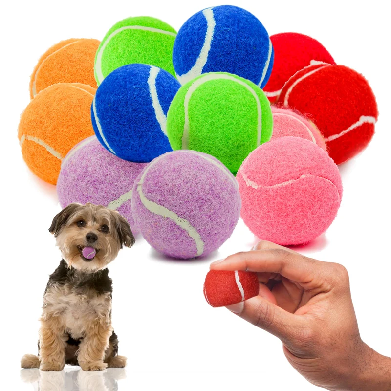 Petite Paws – Balles de tennis colorées à couinement pour petits chiens et chiots (12 pièces) – Diamètre 2,5 pouces – Jouets d’entraînement et jeu extérieur