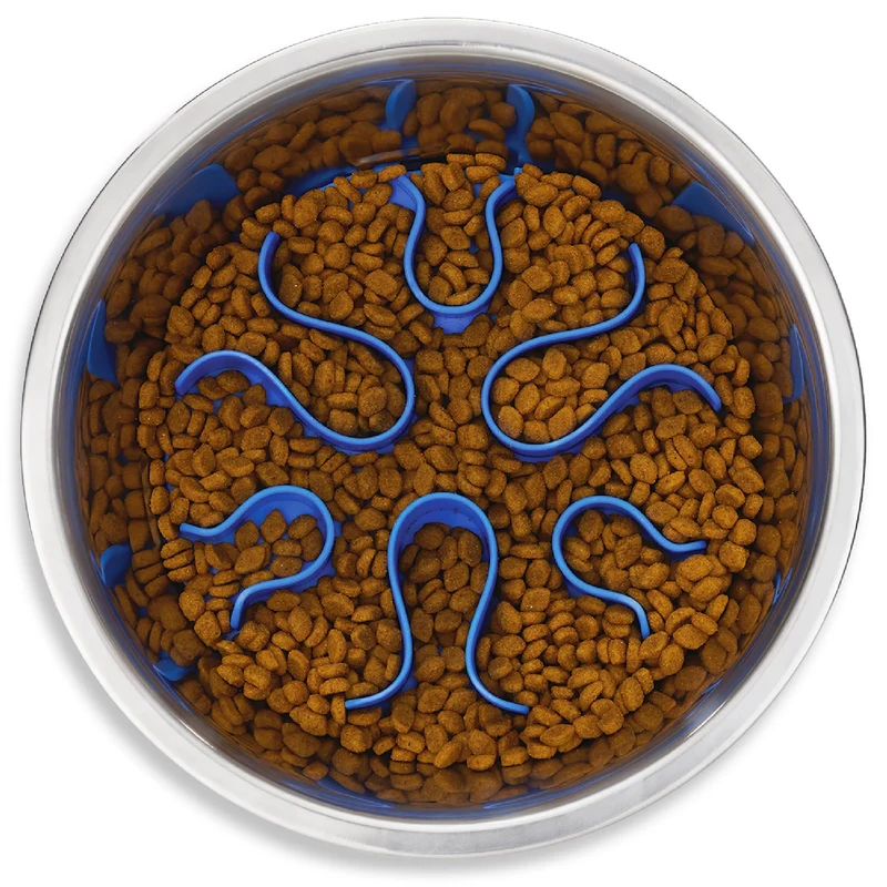 Outward Hound Fun Feeder – Bol Slo en Acier Inoxydable 2 Tasses pour Chiens, Labyrinthe Amovible et Antidérapant