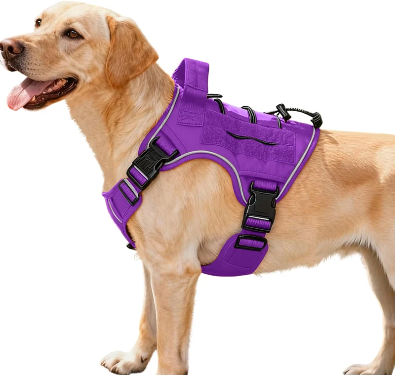 Bruvoalon Harnais Tactique Anti-Traction pour Gros Chiens — Réglable, Reflectif, MOLLE — Violet, Taille M