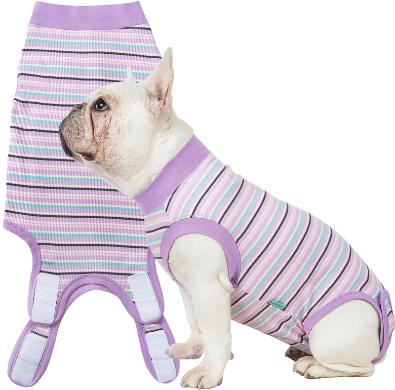 Sebidtco Combinaison récupération chien femelle post-stérilisation – sans cône, confort et protection