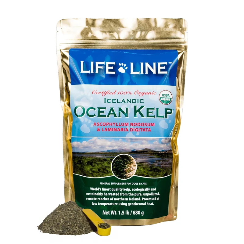Life Line Organic Ocean Kelp – supplément biologique pour chiens, chats, chevaux et bétail | iode naturel pour peau et pelage | soutien immunitaire et digestion – 1,5 lb