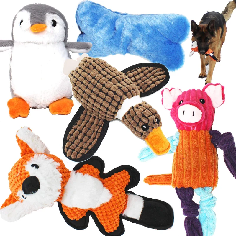 Jalousie Multipack – 5 Jouets Siffleurs pour Chiens, Doux Peluche et Couture Renforcée