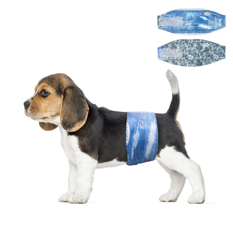 Dono Couches pour Chien Mâle – Couches Jetables XS 48 Unités, Absorption Forte et Anti-Fuites