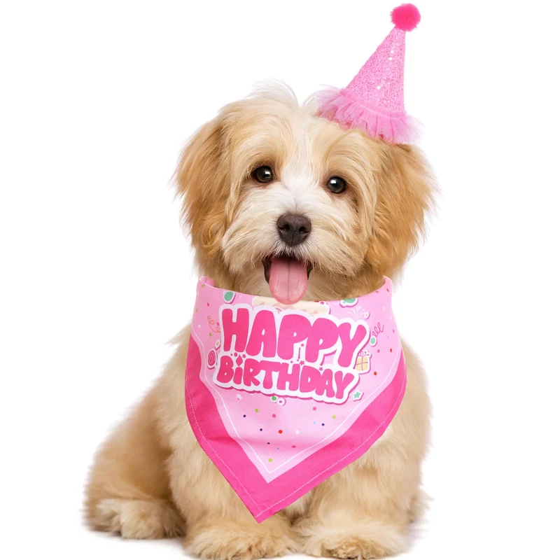 Pistha Bandana et Chapeau d'anniversaire pour chien — Ensemble rose avec chiffres