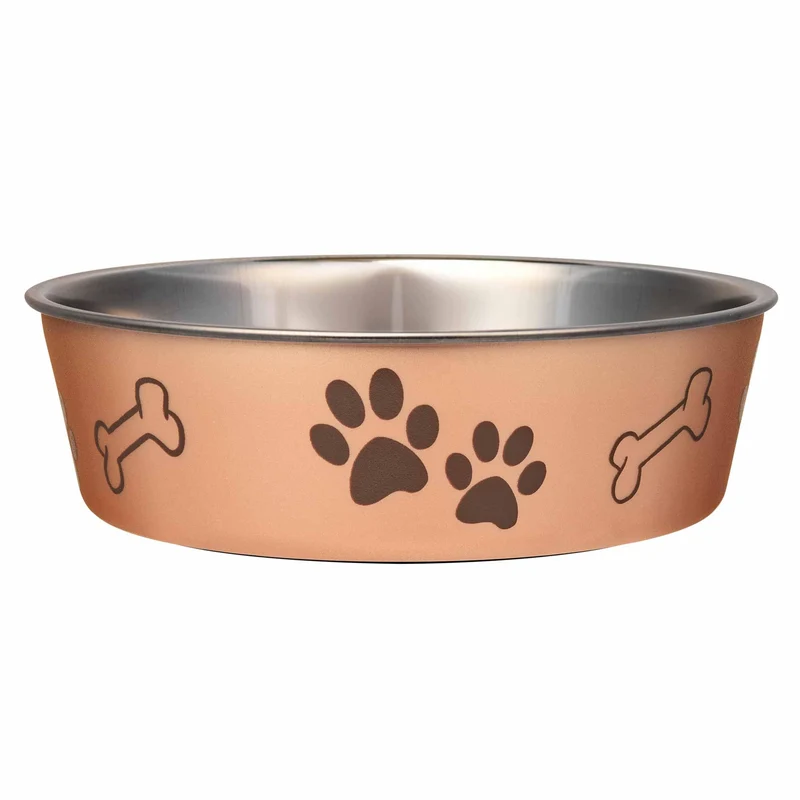 Loving Pets Bella Bowl – Gamelle inox anti-glissement Champagne (20–35 lb)