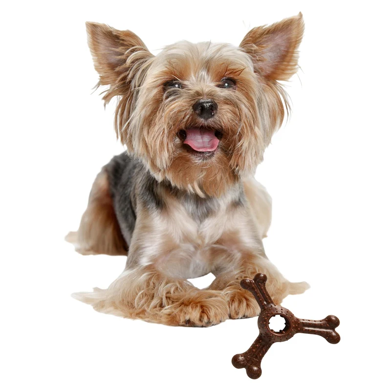 SPOT Bam-Bones Plus Triple Chew – Jouet durable pour petits chiens jusqu'à 13 kg, goût Bison