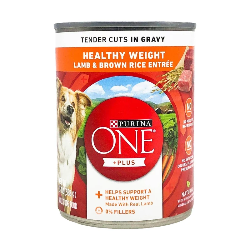 Purina ONE SmartBlend Tender Cuts dans le Gravy — Poids Santé, Agneau et Riz Brun, Entrée Humide pour Chien