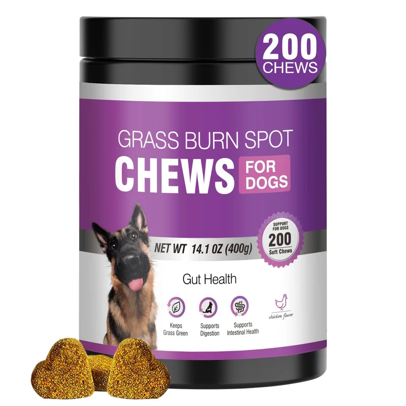 TTLXRL Friandises Grass Burn Spot pour Chiens – Neutralisateur d’Herbe et Soin Urinaire, 200 Gommes Vert Pelouse