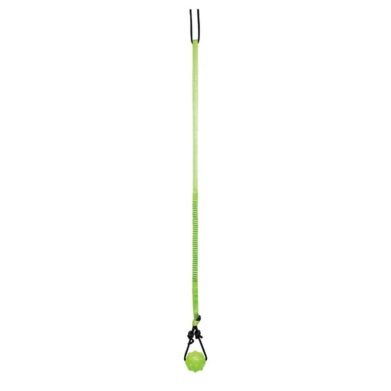Jolly Pets Tire-arbre pour Chien — Jeu en Solo, Hauteur Réglable, Vert