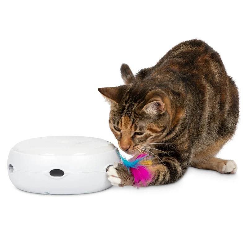 PetFusion Ambush : Jouet Chat Interactif avec LED et Plumes Remplaçables – Pour Intérieur et Extérieur