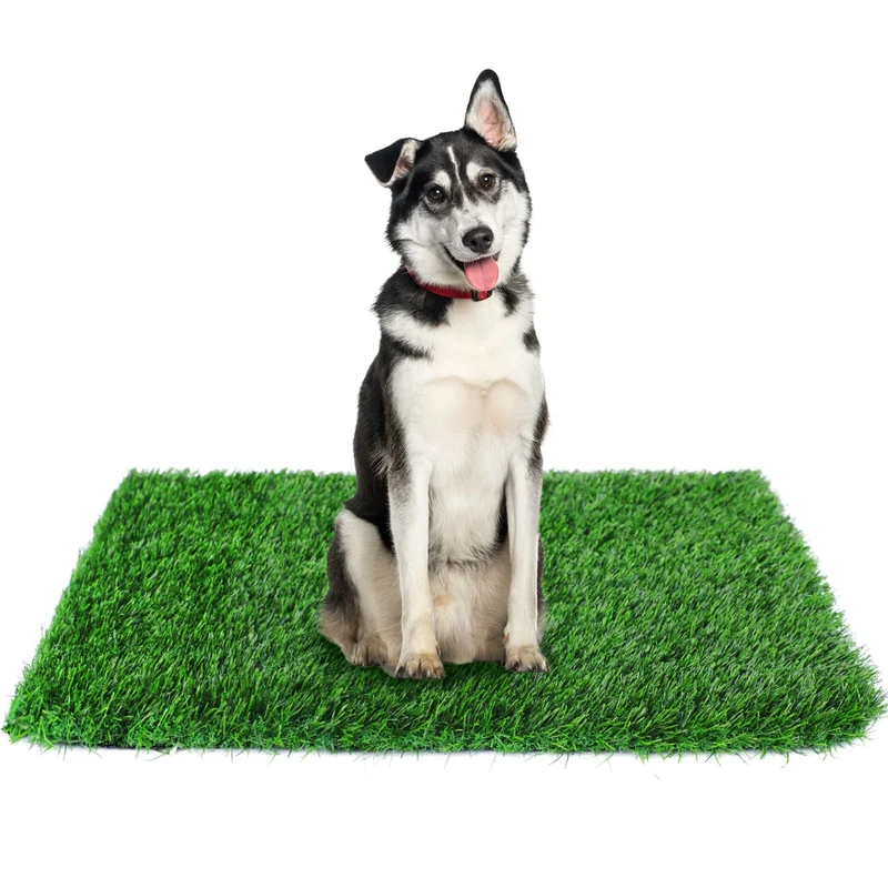 GLOBREEN Tapis Gazon Artificiel 34x23 pour Toilette Chien – Entraînement Intérieur et Extérieur