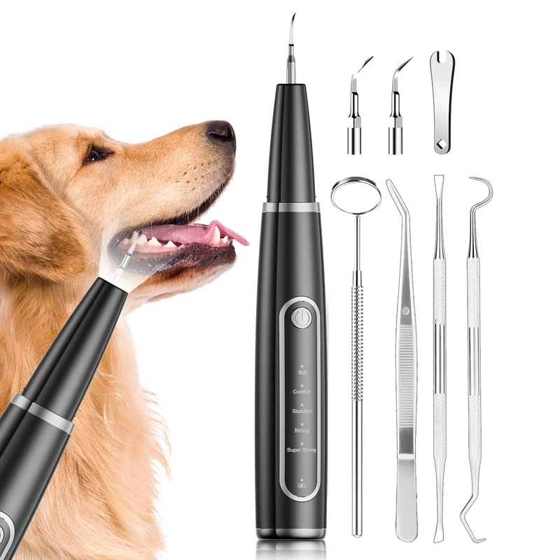 Ni-SHEN Nettoyeur Ultrasonique Dentaire pour Chiens et Chats — Kit Tartre (Noir)