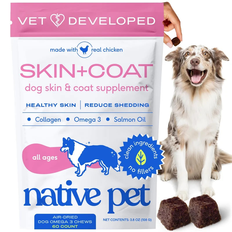 Native Pet Skin & Coat Chews – Oméga-3 pour chien, soin peau et pelage, démangeaisons et brillance – Collagène, Hyaluronique, Biotine, Probiotiques & Oméga-3 – 60 Gommes