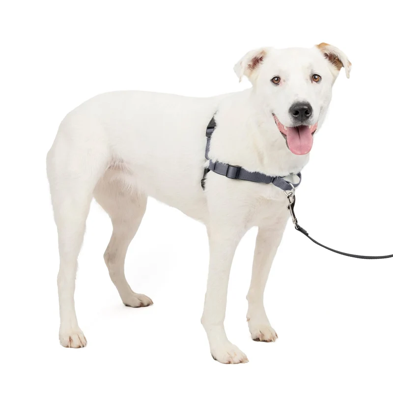 Harnais PetSafe Easy Walk Deluxe – Anti-tirage pour chien, taille moyen/grand, couleur acier