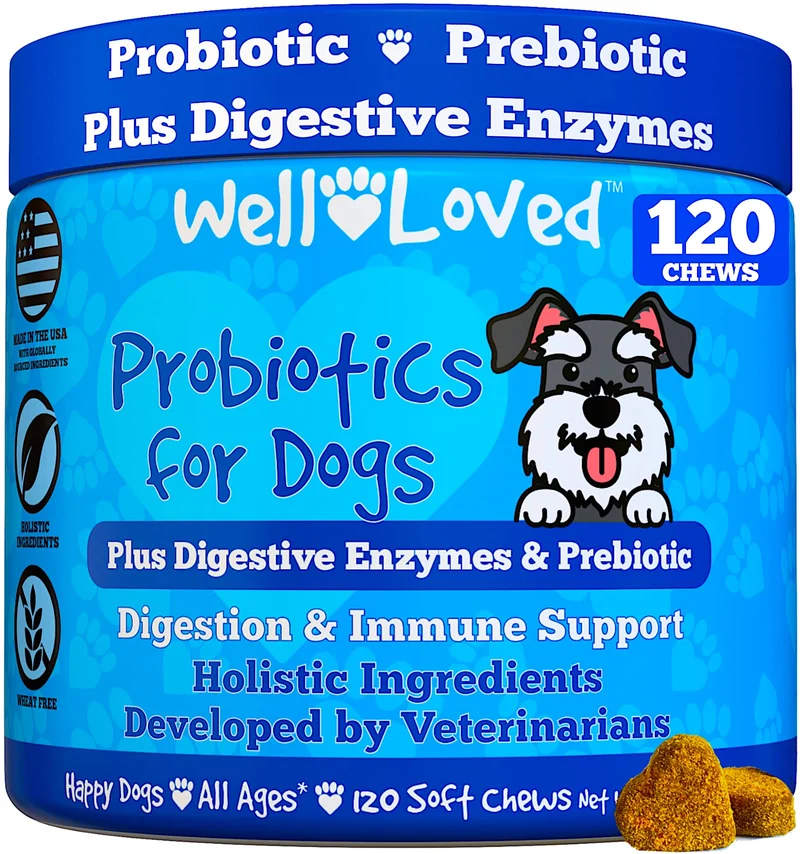 Well Loved Probiotiques pour Chiens – Développé par des vétérinaires, Fabriqué aux États‑Unis
