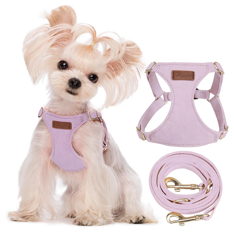 Puppytie Harnais XS Sans Traction avec Longe Multifonction – Violet Clair, XS