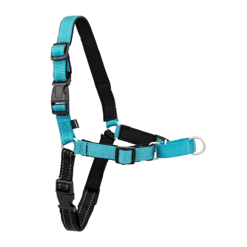 PetSafe Easy Walk Deluxe Harnais anti-traction pour chiens – Confort et Contrôle lors des promenades – Taille moyenne, Bleu Océan
