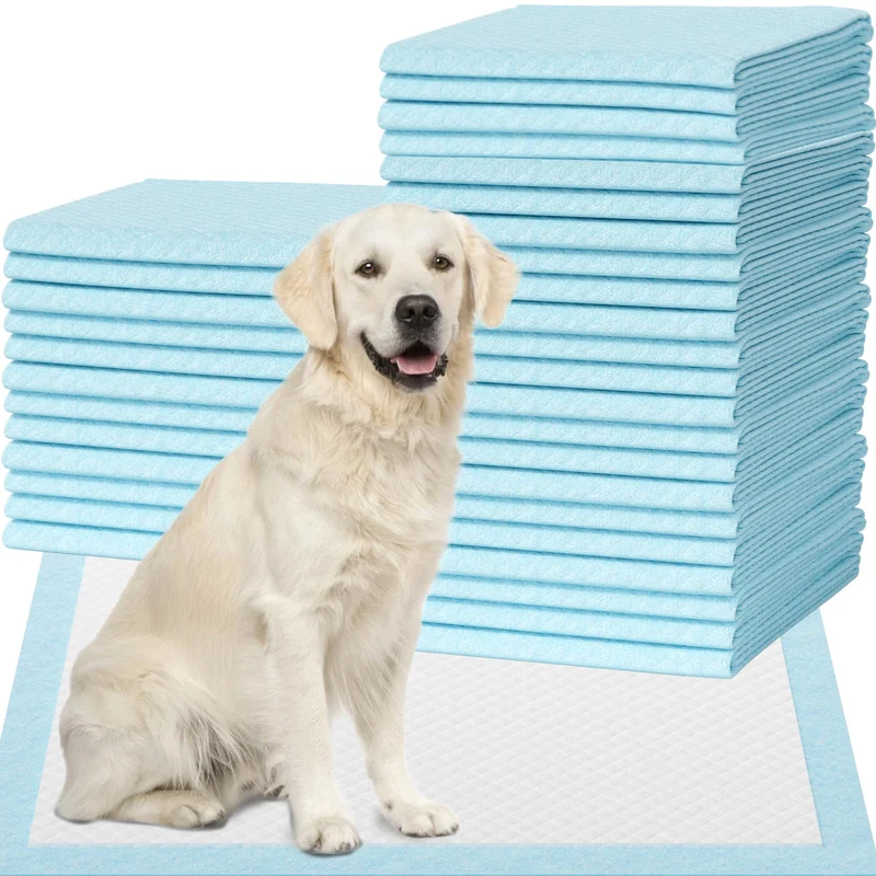 IMMCUTE Tapis Pipi XXL pour Chiens 28x30 - 30 Pièces Absorbants et Anti-Fuite