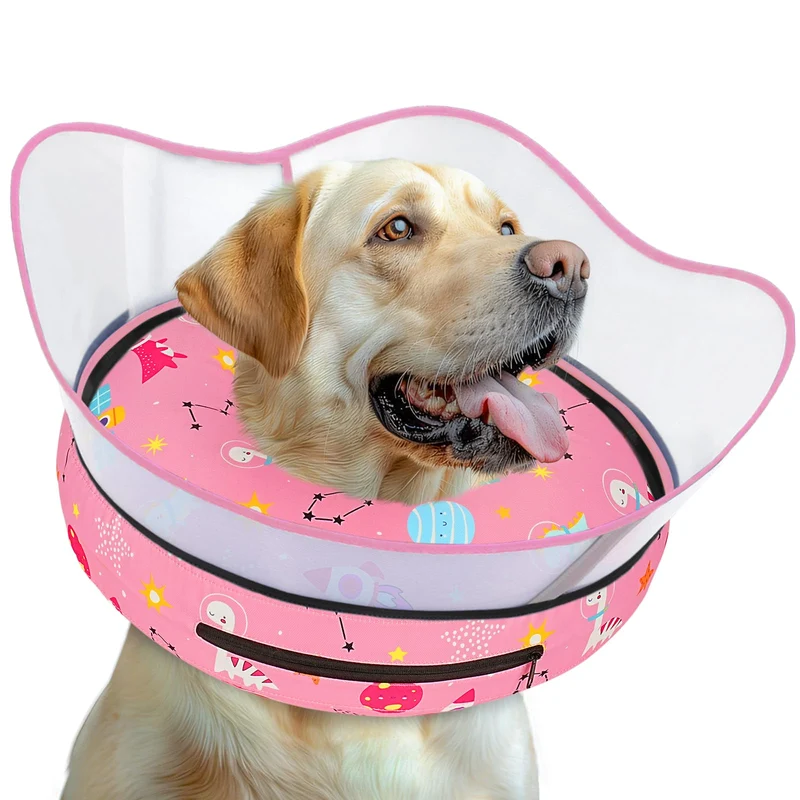 Toptakeit Collier Chien Beignet Gonflable – Confort Postopératoire